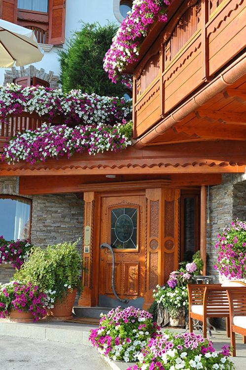 רוקרזו Hotel Le Ortensie מראה חיצוני תמונה